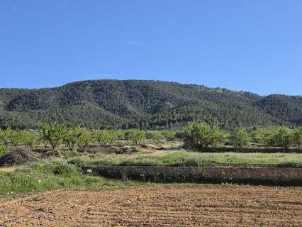 Parcela rústica en venta en Monóvar/Monòver