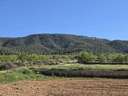 Parcela rústica en venta en Monóvar/Monòver