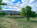 Parcela rústica en venta en Caudete