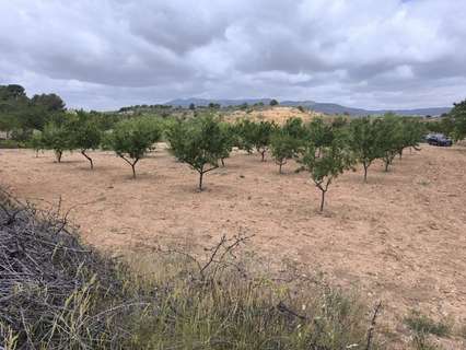 Parcela rústica en venta en El Pinós/Pinoso