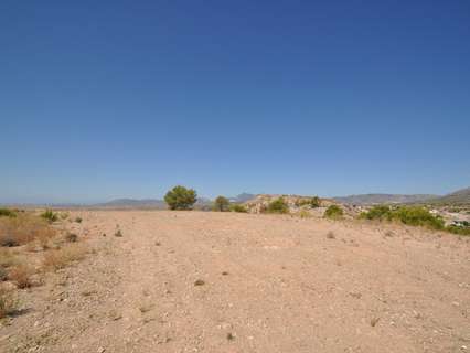 Parcela rústica en venta en Abanilla