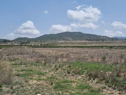 Parcela rústica en venta en El Pinós/Pinoso