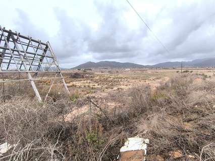 Parcela rústica en venta en La Romana