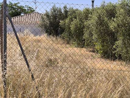 Parcela rústica en venta en Caudete