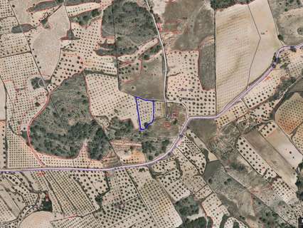 Parcela rústica en venta en Jumilla