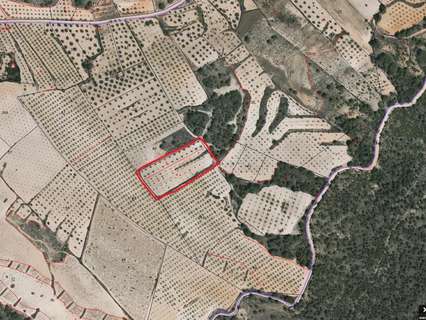 Parcela rústica en venta en Jumilla