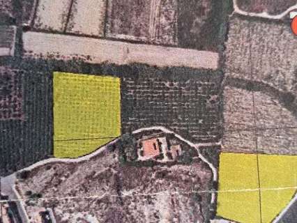 Parcela rústica en venta en Guardamar del Segura