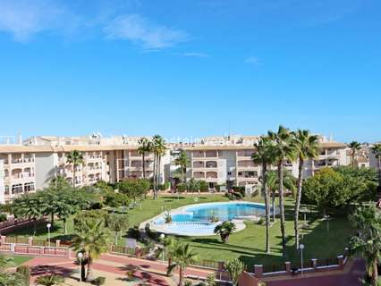 Planta baja en venta en Orihuela zona Orihuela-Costa
