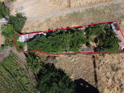 Parcela rústica en venta en Vega de San Mateo