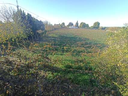 Parcela rústica en venta en Jerez de la Frontera