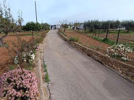 Casa en venta en Arcos de la Frontera rebajada