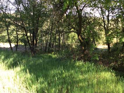 Parcela rústica en venta en A Estrada