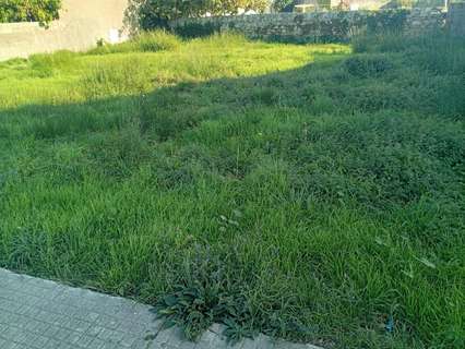 Parcela rústica en venta en Ribeira