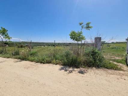 Parcela rústica en venta en Bormujos rebajada