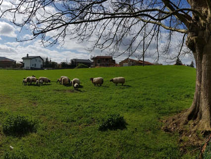 Parcela rústica en venta en San Felices de Buelna