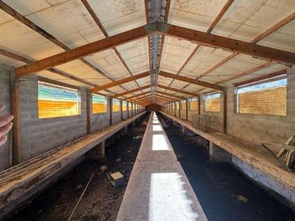 Parcela rústica en venta en Los Corrales de Buelna