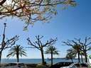 Apartamento en venta en Roses