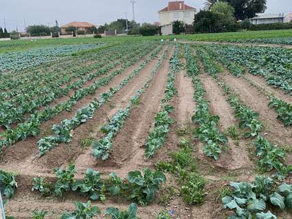 Parcela rústica en venta en Murcia