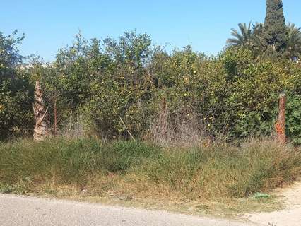 Parcela rústica en venta en Murcia zona Beniaján rebajada