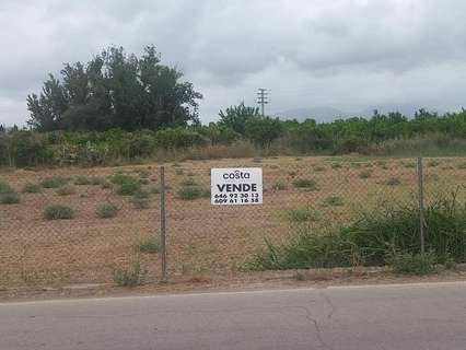 Parcela urbana en venta en Murcia Torreagüera