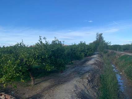 Parcela rústica en venta en Murcia