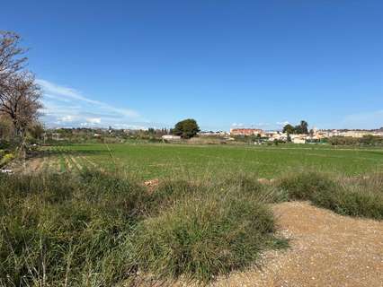 Parcela rústica en venta en Murcia