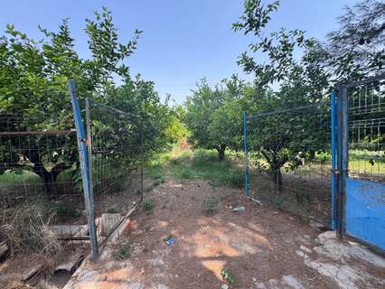 Parcela rústica en venta en Murcia zona Puente Tocinos