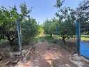 Parcela rústica en venta en Murcia zona Puente Tocinos