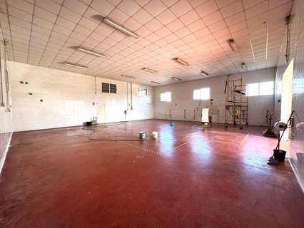 Nave industrial en alquiler en Murcia
