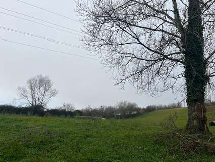 Parcela rústica en venta en Langreo
