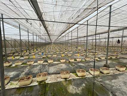 Parcela rústica en venta en Motril