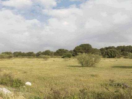 Parcela rústica en venta en Atarfe