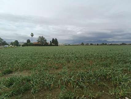 Parcela rústica en venta en Vegas del Genil