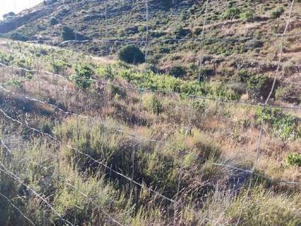 Parcela rústica en venta en Albuñuelas