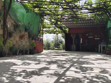 Casa rústica en venta en Albolote