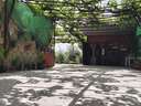Casa rústica en venta en Albolote