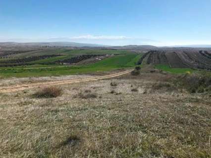 Parcela rústica en venta en Chimeneas