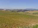 Parcela industrial en venta en Loja
