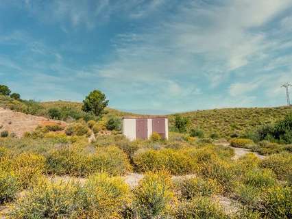 Parcela rústica en venta en Lorca
