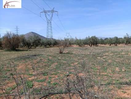 Casa rústica en venta en Albolote