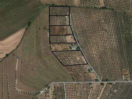 Parcela rústica en venta en Albolote