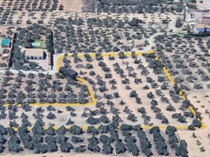 Parcela rústica en venta en Albolote