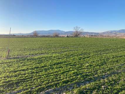 Parcela rústica en venta en Pinos Puente