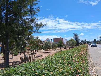 Parcela rústica en venta en Sanlúcar de Barrameda