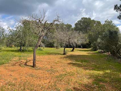 Parcela rústica en venta en Sant Antoni de Portmany