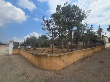 Parcela rústica en venta en Palma de Mallorca