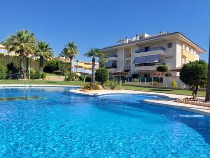 Planta baja en venta en Pilar de la Horadada