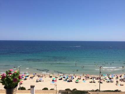 Apartamento en venta en Pilar de la Horadada