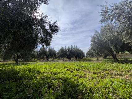 Casa en venta en Fuente Álamo de Murcia