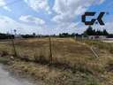 Parcela rústica en venta en Molina de Segura